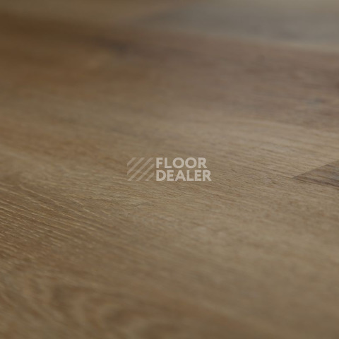 Tarkett Funky House BOB фото 3 | FLOORDEALER